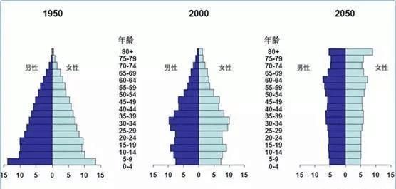 50后60后70后80后90后00后人口图3