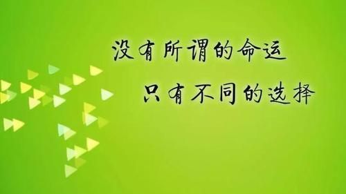 命运会替我们做出最好的选择吗图1