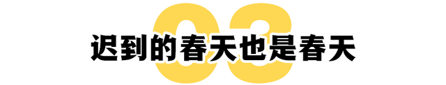 一段30年爱情,消失30年的爱情图15