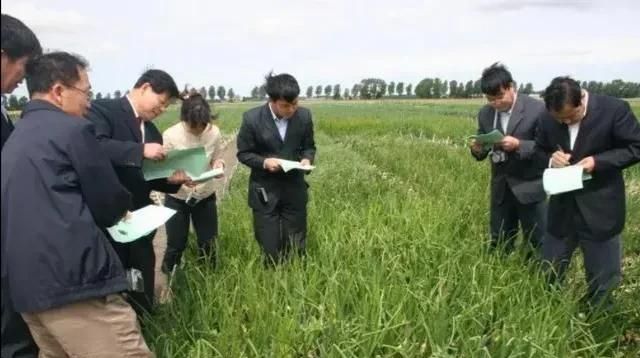 农村土地不是被荒弃，就是退耕还林种了树，为什么粮食却不缺图6