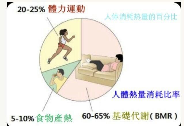 为什么控制饮食加运动体重不减反增图1