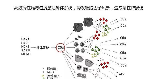 冠状病毒时期每天早晨还能户外锻炼身体吗图1