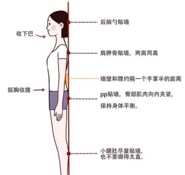 50岁女性每天运动为何体重不下降图2