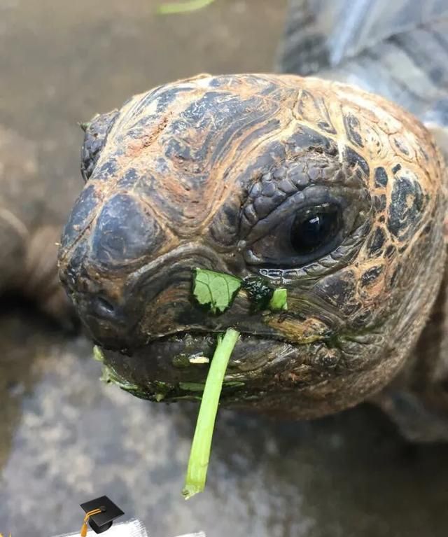 今年装修不景气,钱难赚,怎么办了呢图5