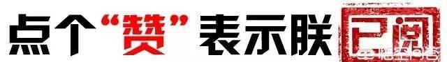 王者荣耀小地图兵线(王者荣耀英雄从对抗路变到了打野)图13