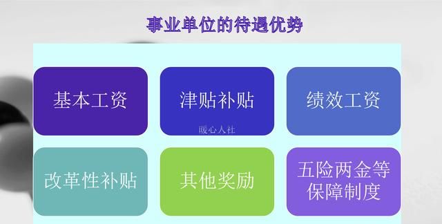 白领和事业编哪个待遇好(高薪私企和稳定事业编该怎么选择)图1