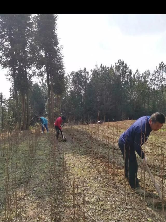 疫情期间你有做过什么最无厘头的事情吗图6