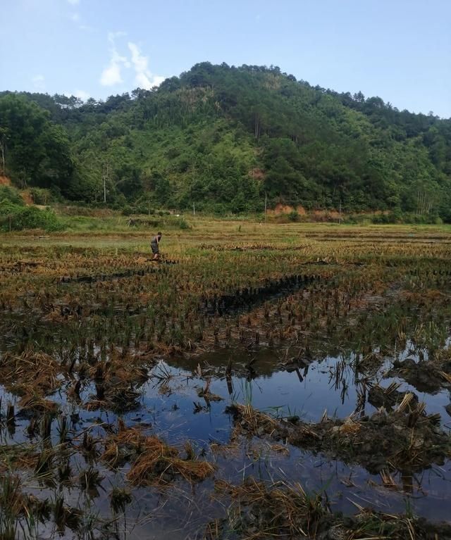 中国南方农业怎么没办法实现机械化,为什么呢图2