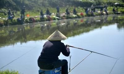 在农村有100亩草场养殖什么好图5