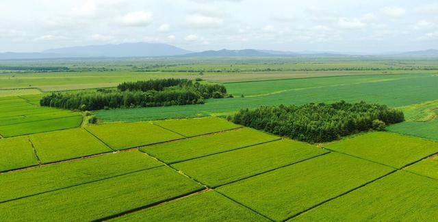 农村大量土地荒废的原因(农村土地如果不种会荒废吗)图1