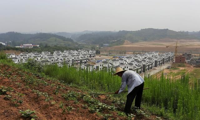 农村大量土地荒废的原因(农村土地如果不种会荒废吗)图2