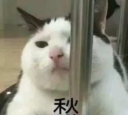 今日头条里要想成为优质创作者，持续贡献某领域的优质内容什么意思可以是吗图7