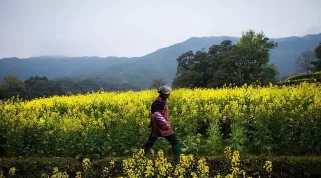 老人去世后农村确权地怎么办(老人死后农村确权地怎么办)图1