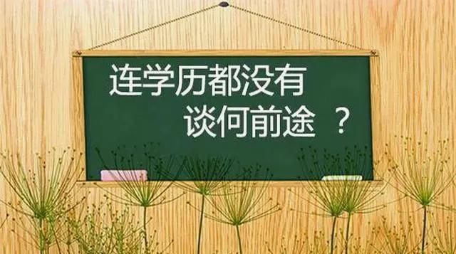 为什么同样工作低学历的却收入更高呢图2