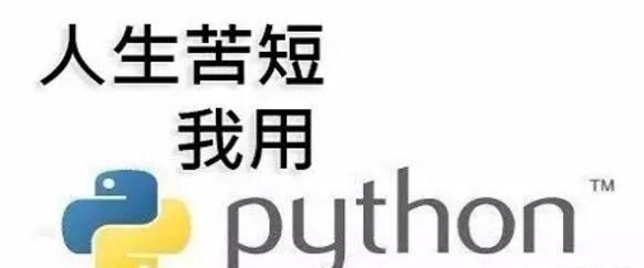 会java怎么学python最快图1