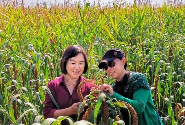 花海人像拍照好还是拍花好(花海拍花技巧)图2