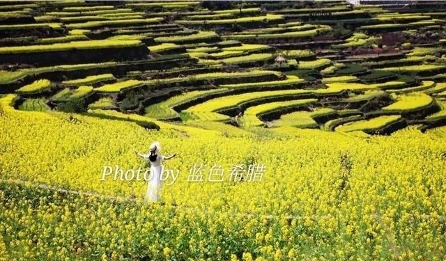 花海人像拍照好还是拍花好(花海拍花技巧)图7