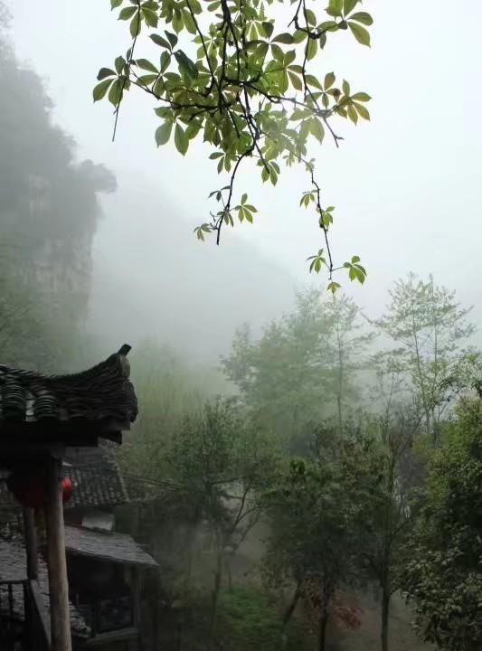 怎么才能拍摄出烟雨江南的朦胧之美呢图7