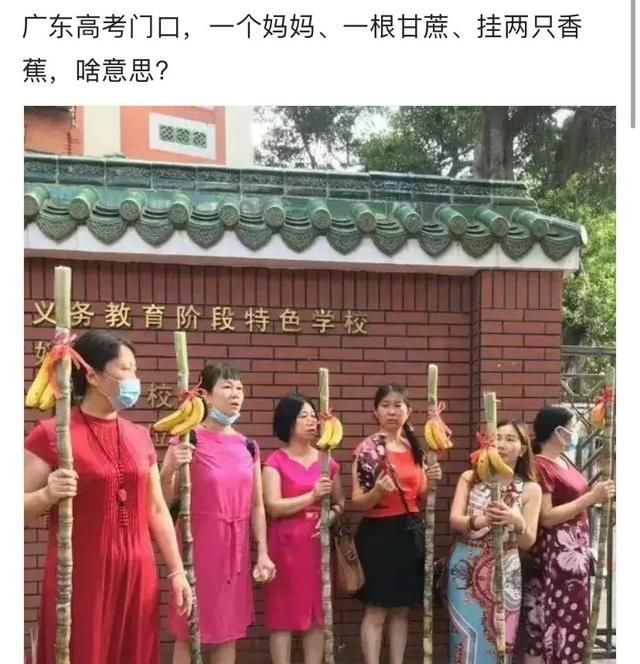 学校有权利要求家长参加护学岗吗图2