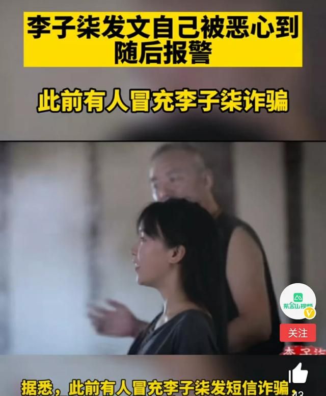 李子柒被资本套路的事件简介,李子柒舆论热议图5