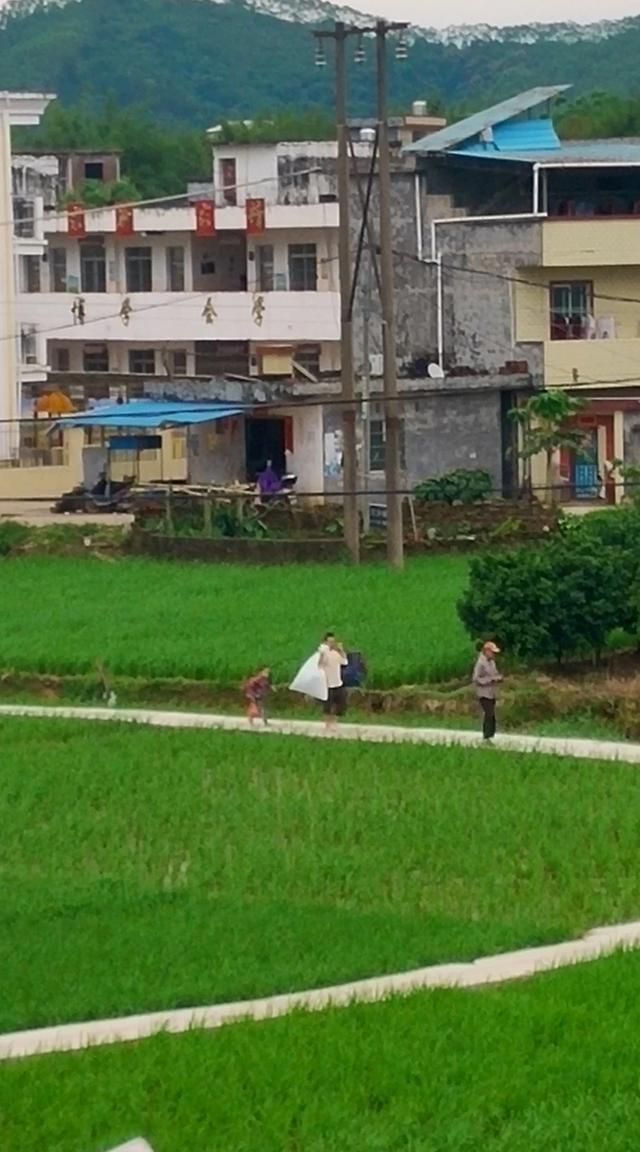 种地的农民越来越少了,这种情况是好还是坏的图1