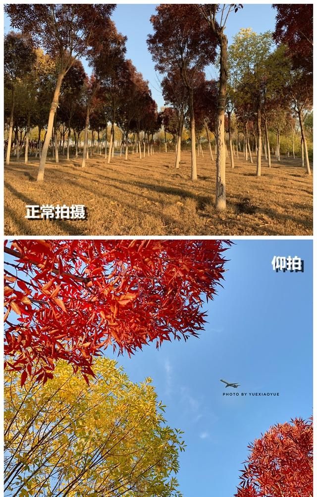 一张照片什么角度拍摄更有观感(什么角度拍出的照片更真实)图10