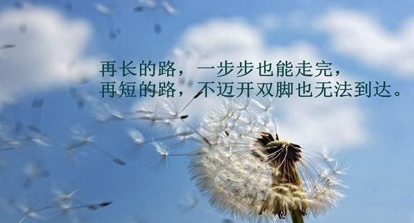 初中没学高中努力能考上好大学吗图4