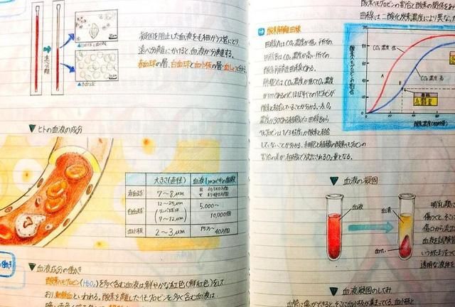 目前中小学已开始直播网课学习，聊聊你对停课不停学的看法是什么图15