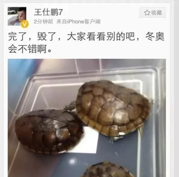 你如何评价新疆与广东比赛的判罚制度图3