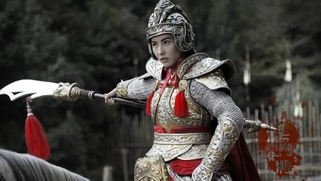 《杨家将》谁的武功厉害?有何依据呢图4