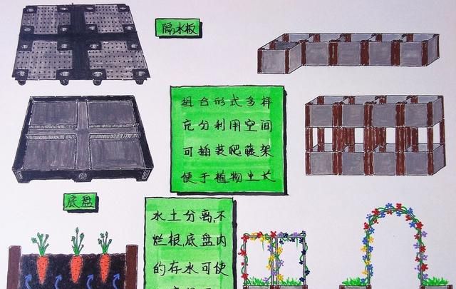 疫情期间,在家里呆着,做啥事情有意思呢图8