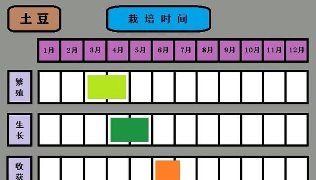 疫情期间,在家里呆着,做啥事情有意思呢图21