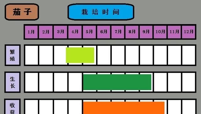 疫情期间,在家里呆着,做啥事情有意思呢图25