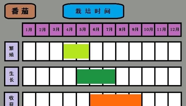 疫情期间,在家里呆着,做啥事情有意思呢图29