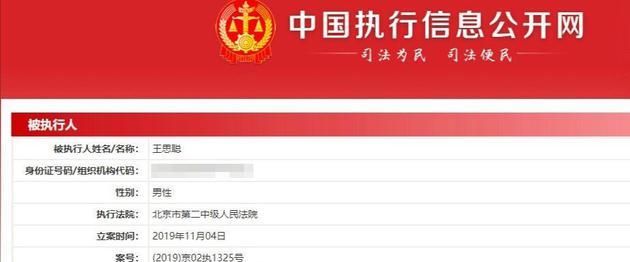 王思聪执行人最新消息,王思聪被列入执行人解读图11