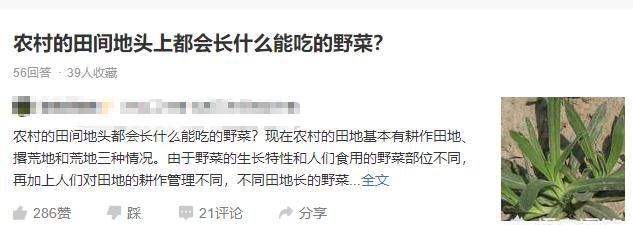 三农自媒体如何做到真正的问答图2