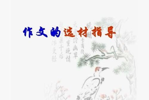 写作文时用哪些素材比较好(写作文什么样的素材最好)图5