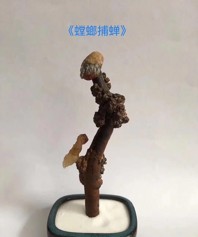 如何评价一个人的表达能力强(怎样提高自己的赏石水平)图7