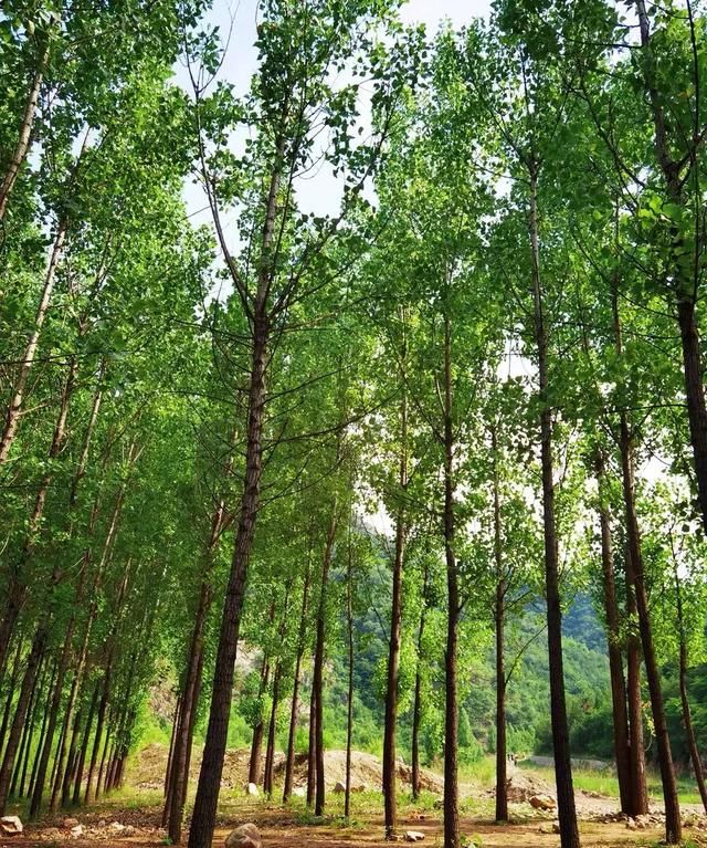 自从学习摄影以来，你拍的最满意的风景照有哪些能分享三张吗图4