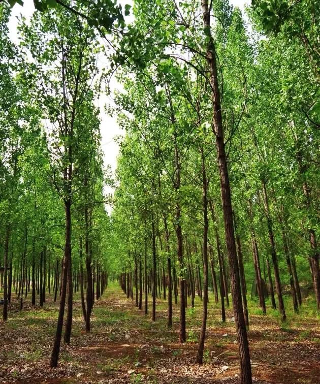 自从学习摄影以来，你拍的最满意的风景照有哪些能分享三张吗图5