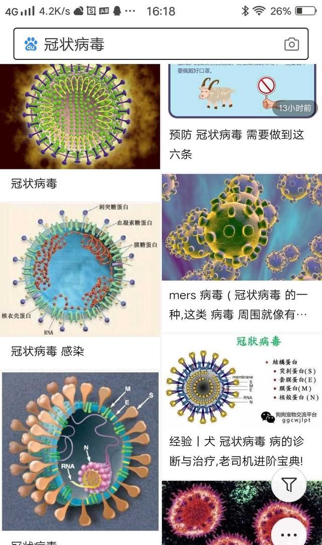 疫情结束后哪些农产品会涨价图1