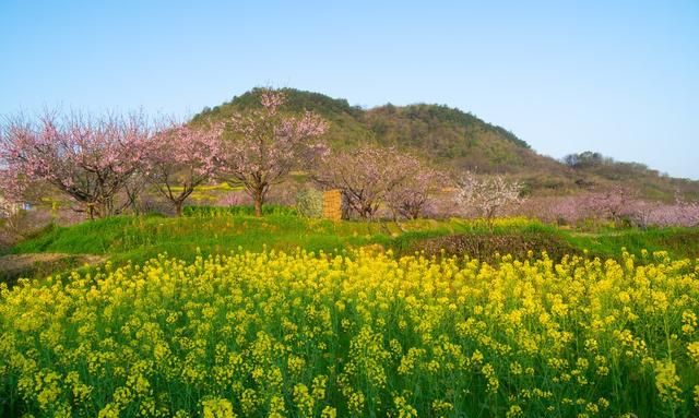 黄石会有大的发展吗,黄石有发展大空间吗图15