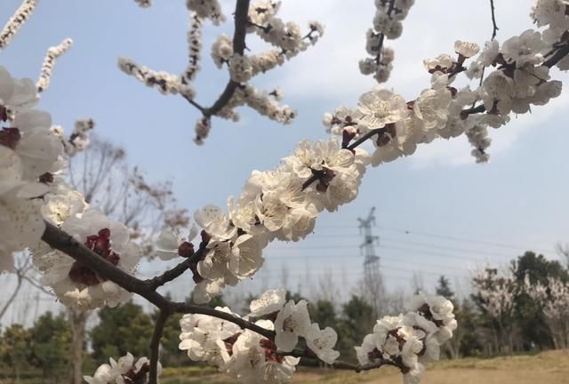 对住宿要比较高，一般都会订豪华型的，这次和朋友去旅行因为住宿发生分歧，怎么办图4