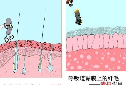 冠状病毒肺炎爆发如何应对和预防图2