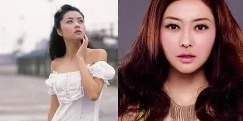 整容最成功的女明星是谁(整容最成功的20个明星)图4