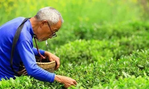 农村老人为什么不愿意来城里居住图5