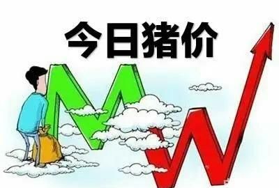 6月26日生猪价格走势,4月26号全国生猪价格图1