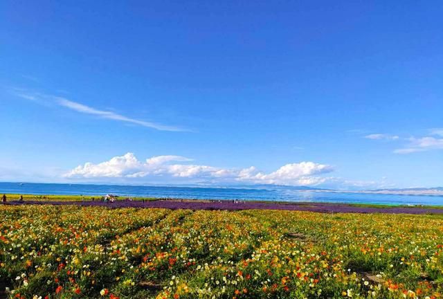 这次疫情过后还有旅游的现象吗(疫情爆发还能出门旅游吗)图3