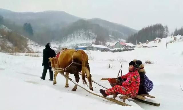 大年初二给岳父岳母拜年还是女婿图2