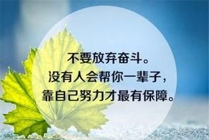 人世间最感人的一句话是什么呢(人生中最感人的一句话是什么)图4